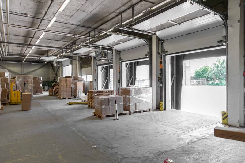 RARA ! Superficie di laboratorio da 1'000 m² nel centro di Ginevra (2)