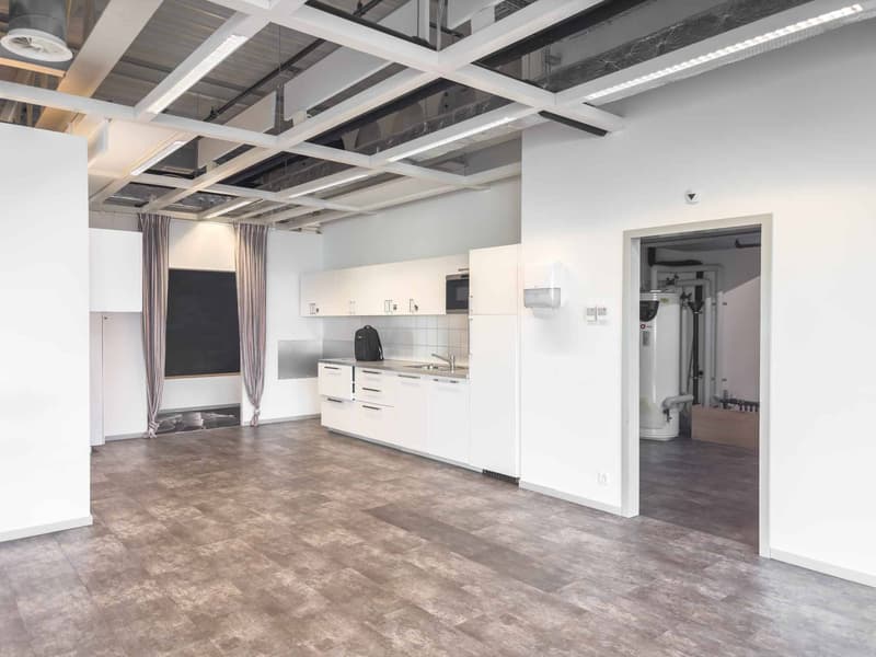 Vernier - 903 m2 surface in attic - IKEA building (5)
