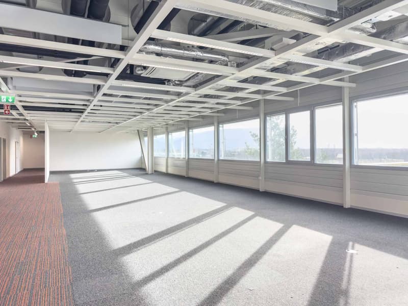 Vernier - 903 m2 surface in attic - IKEA building (2)