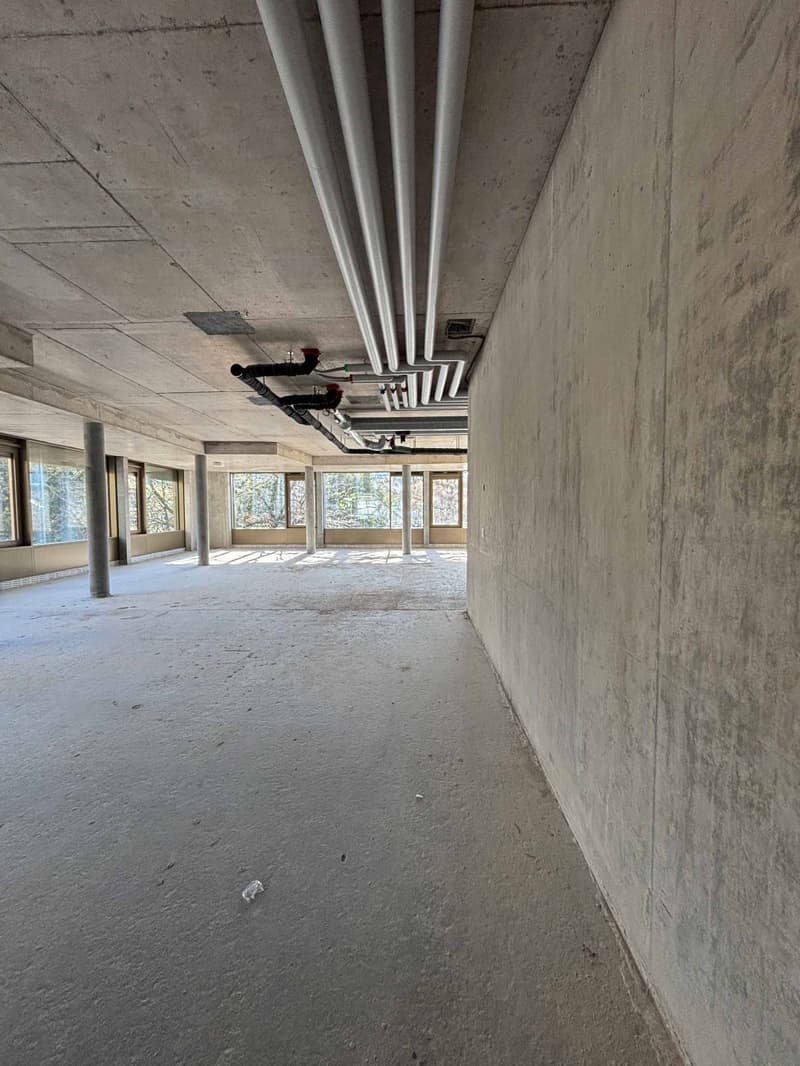 Bureaux neufs - Nations (6)