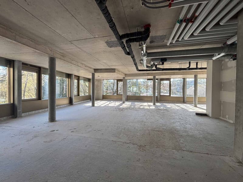 Bureaux neufs - Nations (5)