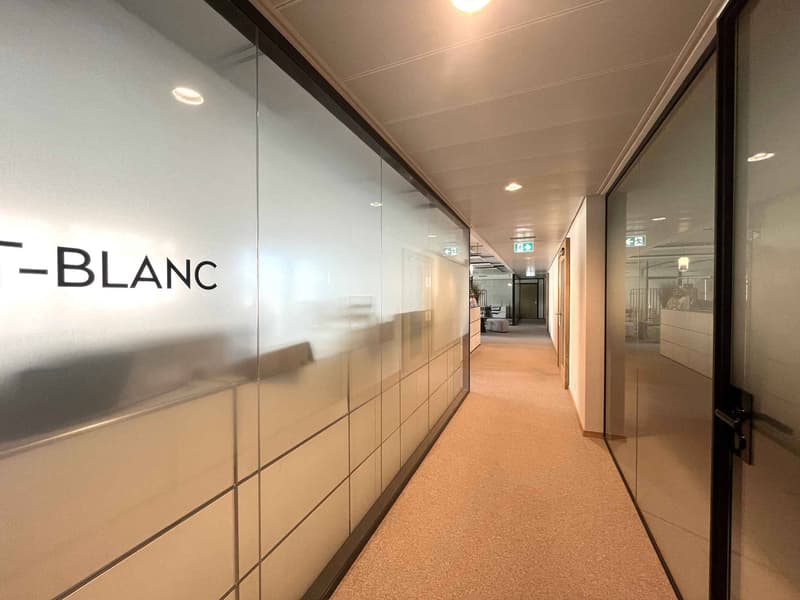 Uffici moderni e luminosi 620 m² Stazione di Lancy Bachet (5)