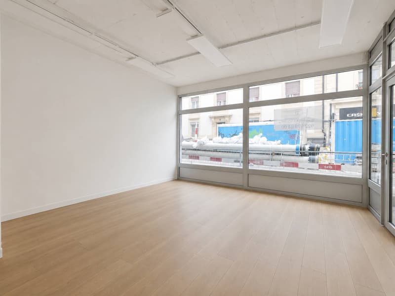 Arcade 81m2 Plainpalais (2)