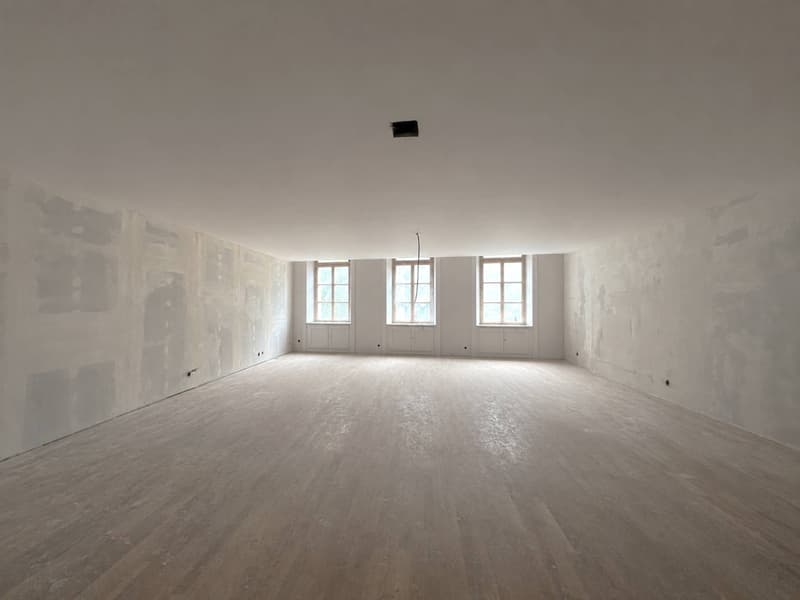 BUROS DER AUSSERGEWÖHNLICHEN ART 177 M² - RUE DE LA CROIX-D'OR (2)