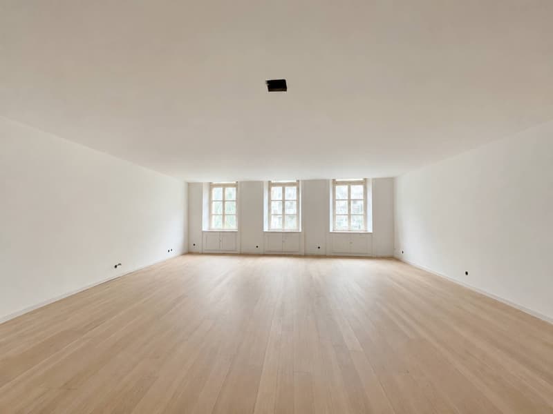 BUROS DER AUSSERGEWÖHNLICHEN ART 177 M² - RUE DE LA CROIX-D'OR (3)