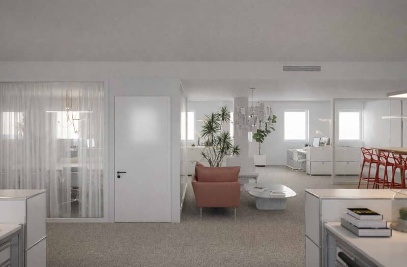 Offices in Plainpalais/HUG area (6)