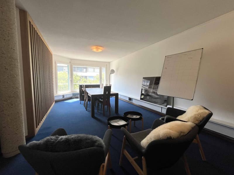 Furnished administrative offices of 118 m² in Carouge (7)