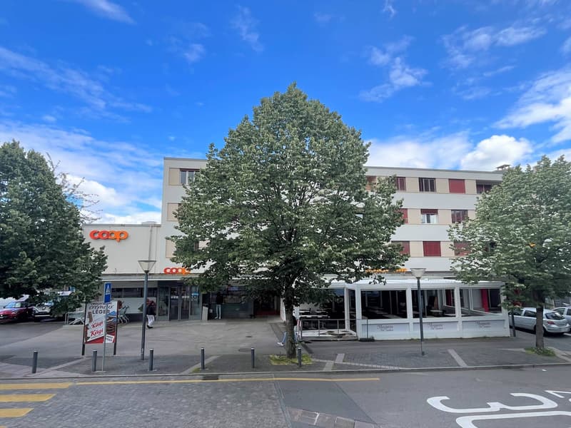 Very bright area - 305m2 offices (1)