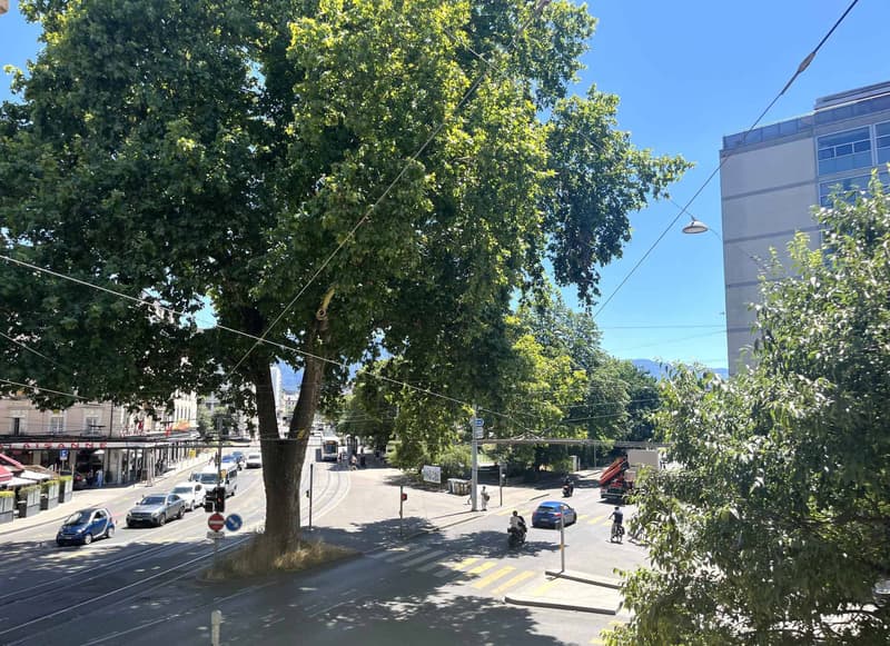 Bürofläche 67m2 Georges-Favon / Plainpalais (1)
