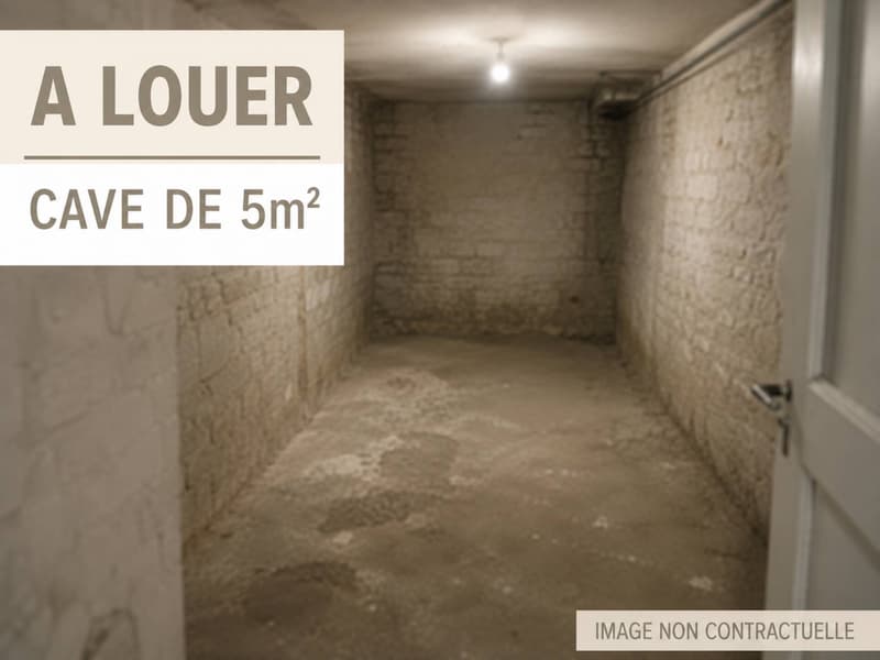 Place du Molard - Cave 5m2 (1)