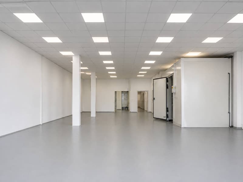 Surface polyvalente de 180 m² Chemin du Château-Bloch 10 (2)