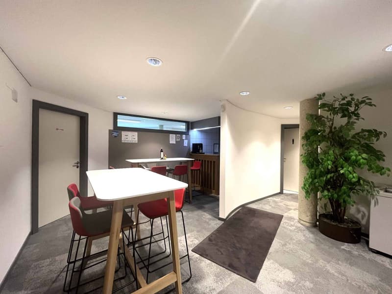 Bureaux administratifs meublés de 118 m² Carouge (7)