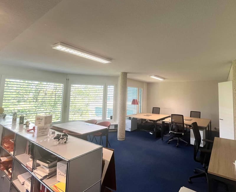 Bureaux administratifs meublés de 118 m² Carouge (6)