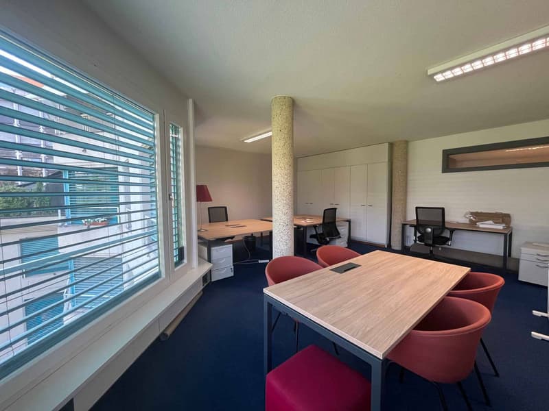 Bureaux administratifs meublés de 118 m² Carouge (2)