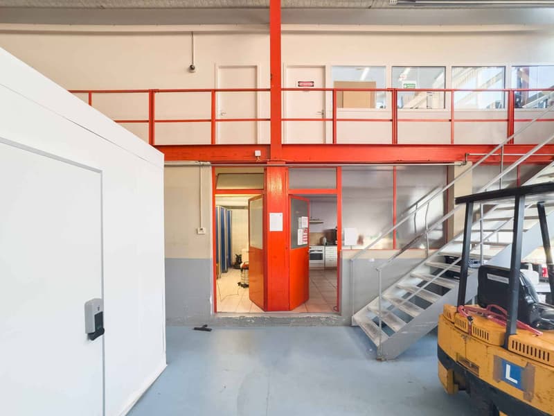 Atelier / logistique avec grande hauteur et mezzanine  Meyrin (3)