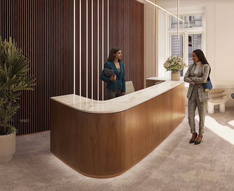 Immeuble administratif rénové d'environ 1300m2 - Quartier des Banques (3)