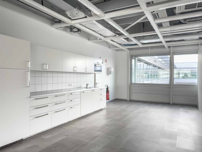 Vernier - Surface de 1380 m2 en attique - Immeuble IKEA (8)