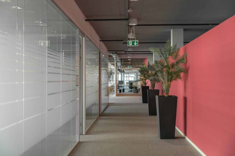 Magnifiques surfaces de bureaux (5)