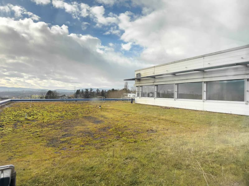 Vernier - Plateau de 5'000 m2 en attique - Immeuble IKEA (7)