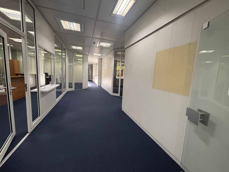 1 381 m² de bureaux à louer modulables et divisibles à partir de 37 m² (4)