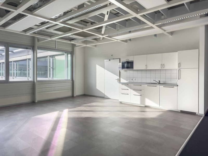 Vernier - Surface de 1309 m2 en attique - Immeuble IKEA (5)