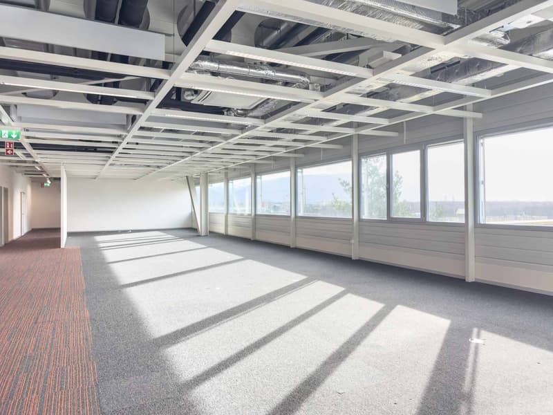 Vernier - Surface de 1309 m2 en attique - Immeuble IKEA (4)