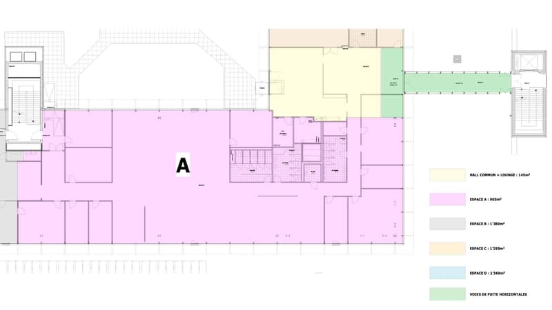 Vernier - Surface de 903 m2 en attique - Immeuble IKEA (7)