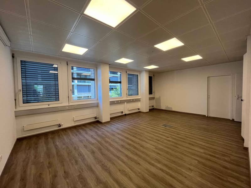 Bureaux 186m2 - Chêne-Bourg - Gare (5)