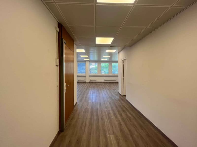 Bureaux 186m2 - Chêne-Bourg - Gare (7)
