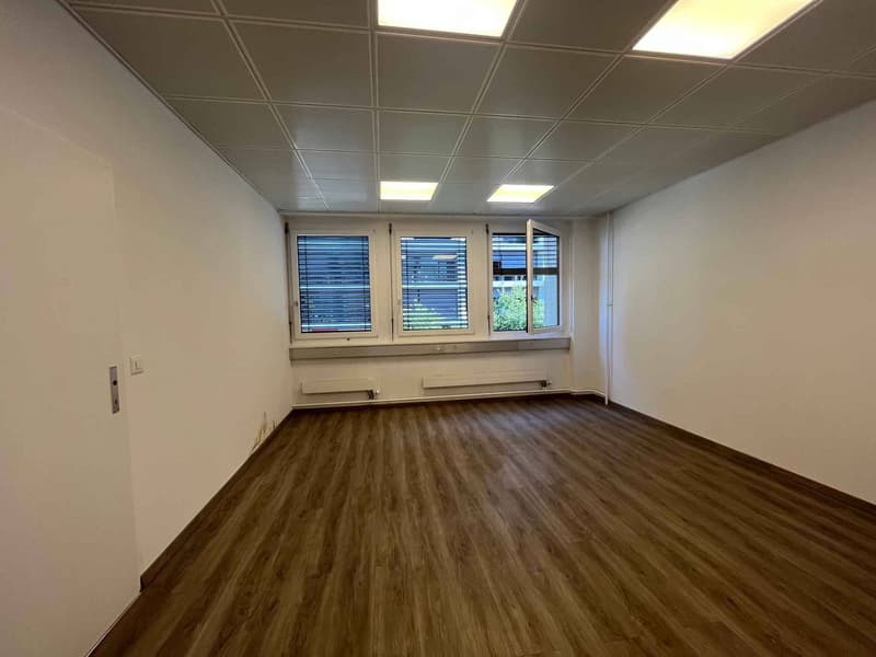 Bureaux 186m2 - Chêne-Bourg - Gare (9)