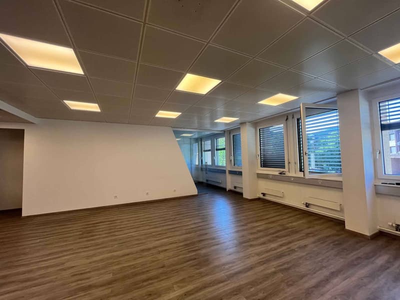 Bureaux 186m2 - Chêne-Bourg - Gare (3)