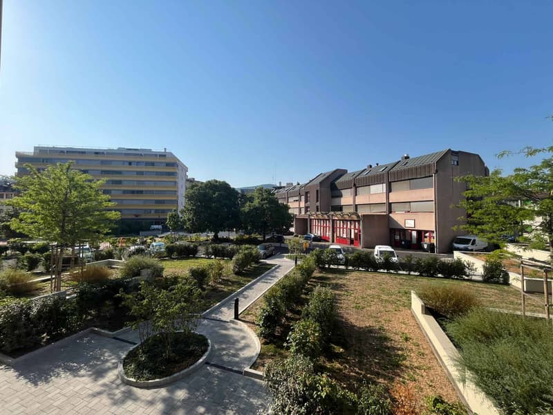 Bureaux 186m2 - Chêne-Bourg - Gare (11)