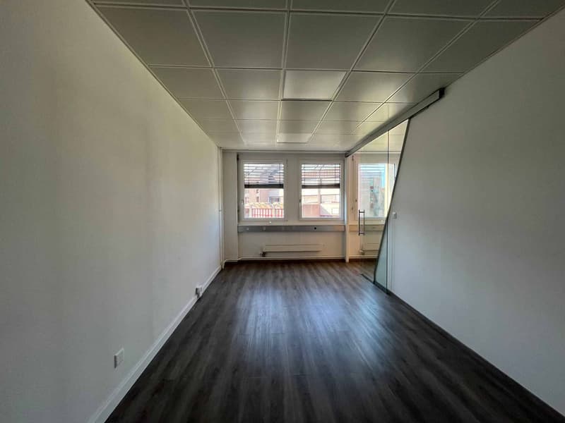 Bureaux 186m2 - Chêne-Bourg - Gare (8)