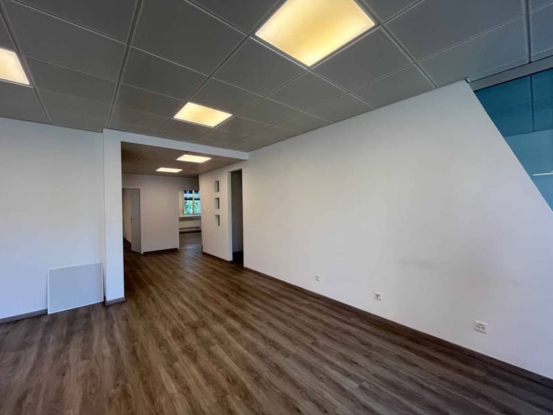 Bureaux 186m2 - Chêne-Bourg - Gare (4)