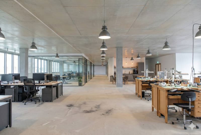 Magnifique surface de 600m2 au 2ème étage d'un bâtiment moderne (3)