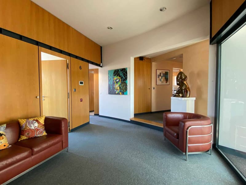 Bureaux à louer avec terrasse  158 m² au 6? étage à Carouge (4)