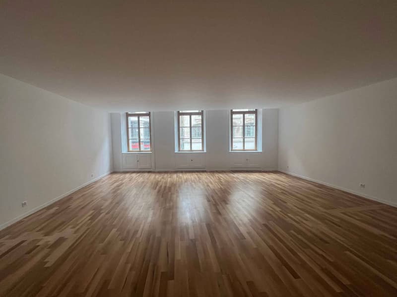 BUREAUX D'EXCEPTION DE 177 M² - RUE DE LA CROIX-D'OR (7)