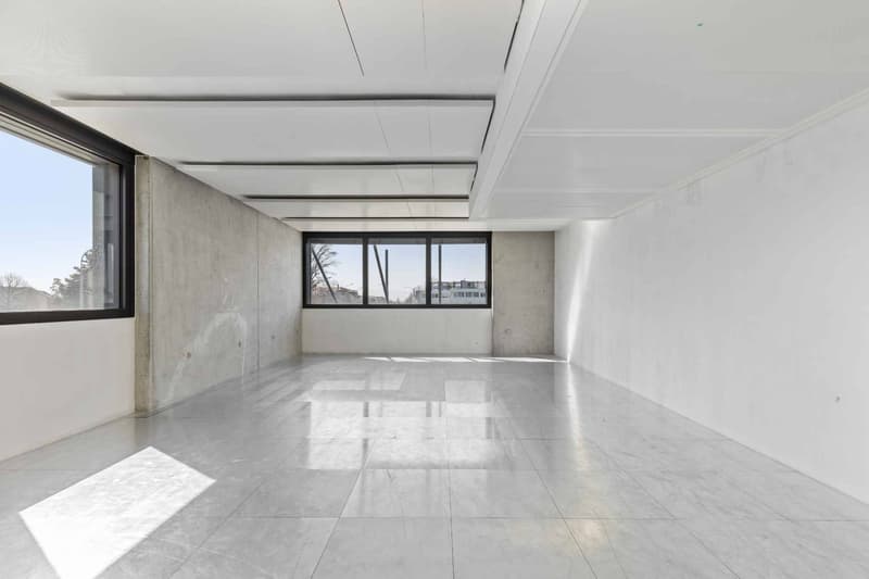 ARCenter  492 m² de bureaux semi-aménagés à Vernier (5)