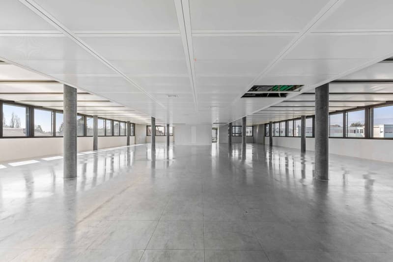 ARCenter  492 m² de bureaux semi-aménagés à Vernier (2)
