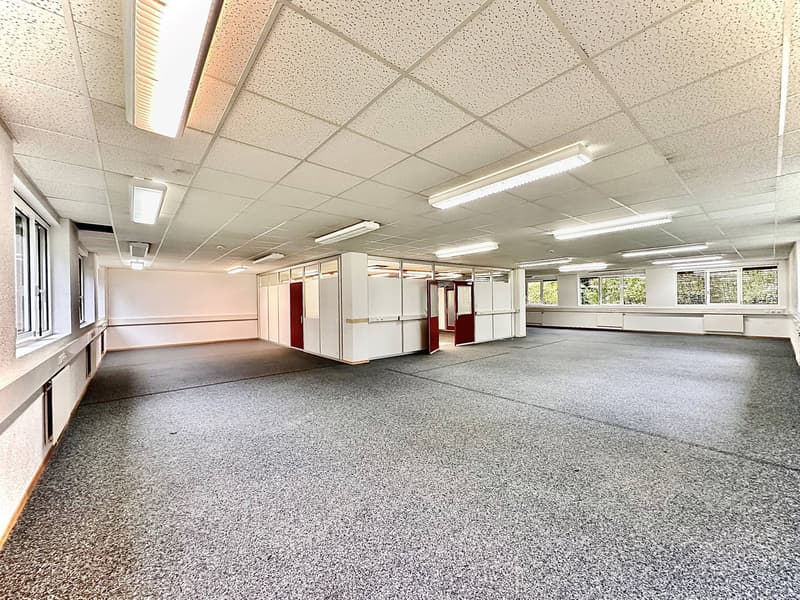 Studio, warehouse, premises of 490 m2 for rent in Lausanne (3)