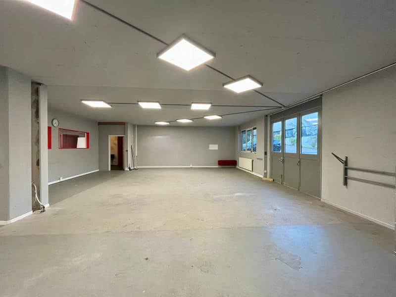 Studio, warehouse, premises of 490 m2 for rent in Lausanne (2)