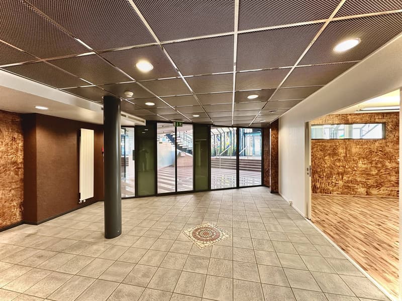 Showroom, offices, premises of 180 m2 for rent in La Chaux-de-Fonds (3)