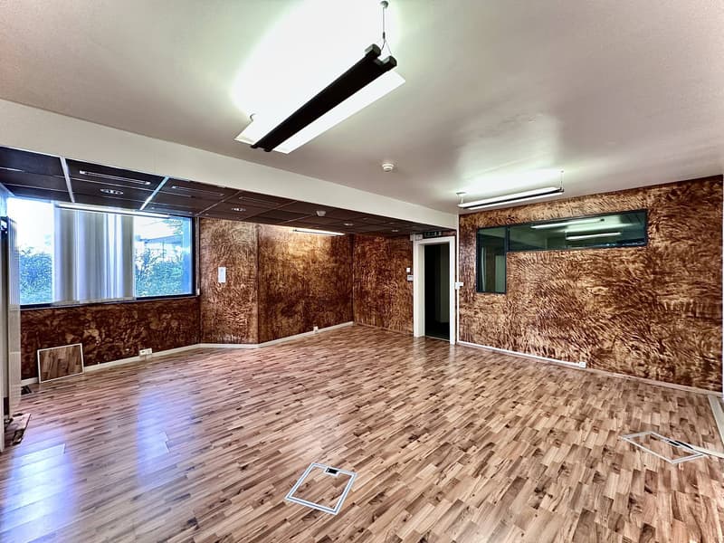 Showroom, offices, premises of 180 m2 for rent in La Chaux-de-Fonds (4)