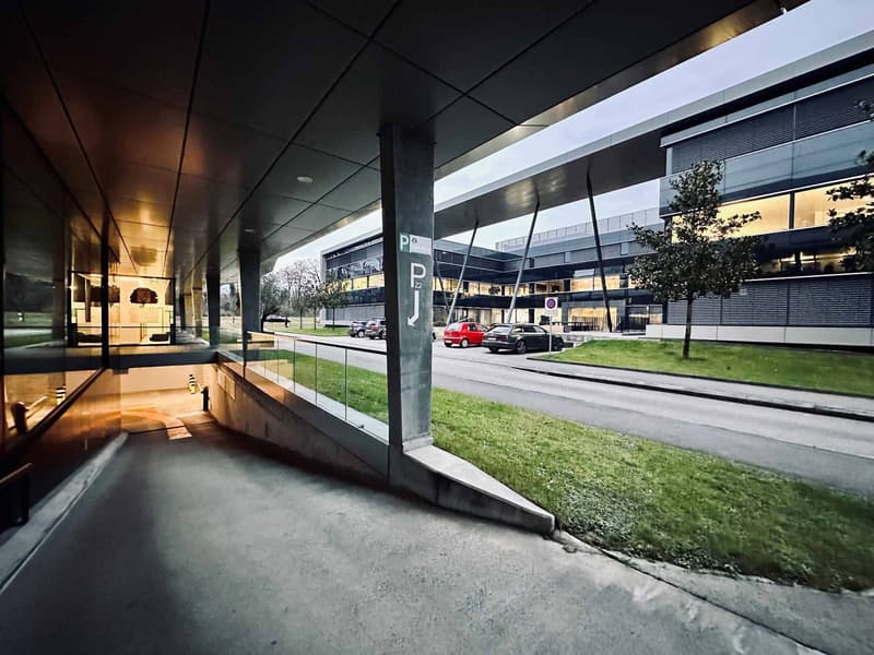 Zu vermieten - 680 m² Lagerfläche in Eysins, nur wenige Schritte von Genf entfernt! (2)
