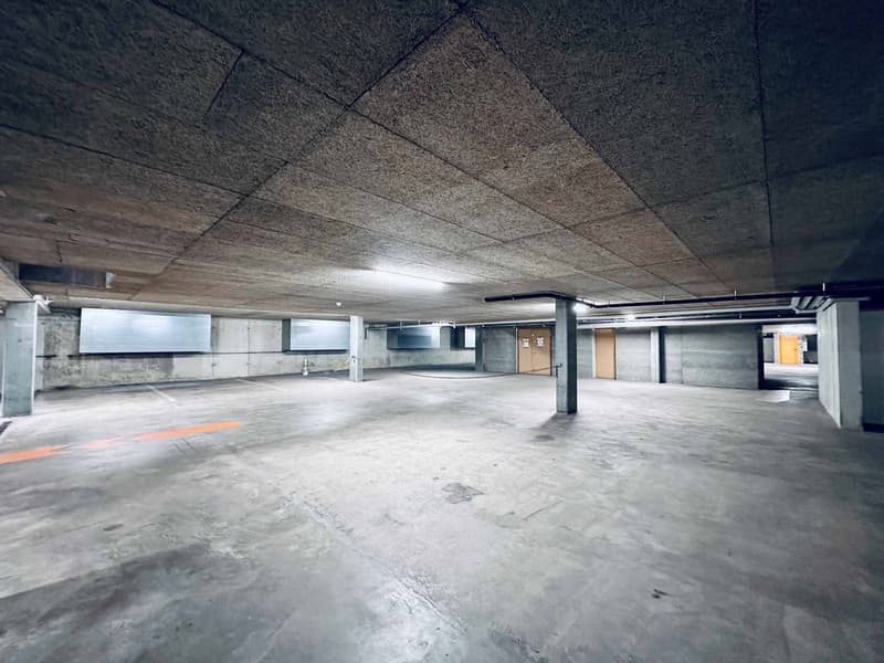 Zu vermieten - 680 m² Lagerfläche in Eysins, nur wenige Schritte von Genf entfernt! (3)
