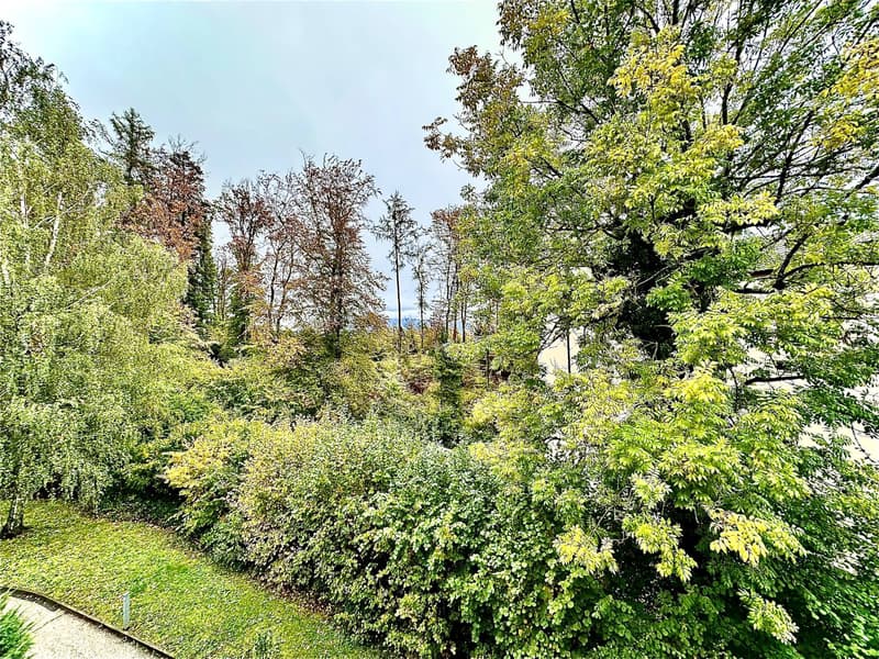 Büros, Lokale von 186 m2 zur Miete in Lausanne (8)