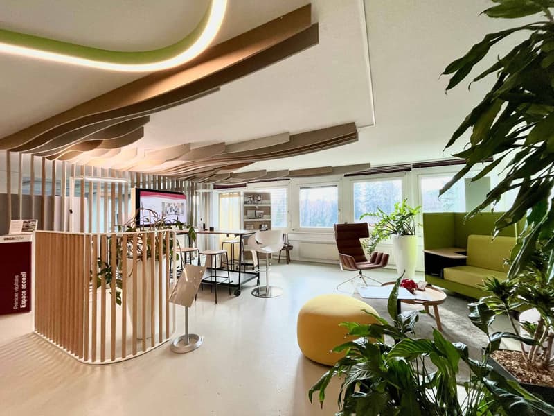 Workshop, offices and storage of 490 m2 - Optimal accessibility (6)