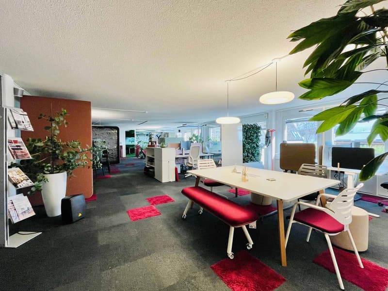 Workshop, offices and storage of 490 m2 - Optimal accessibility (2)