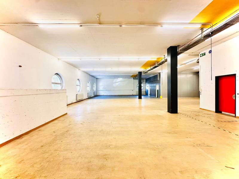Lausanne: Industrieller und kommerzieller Raum im Erdgeschoss (5)