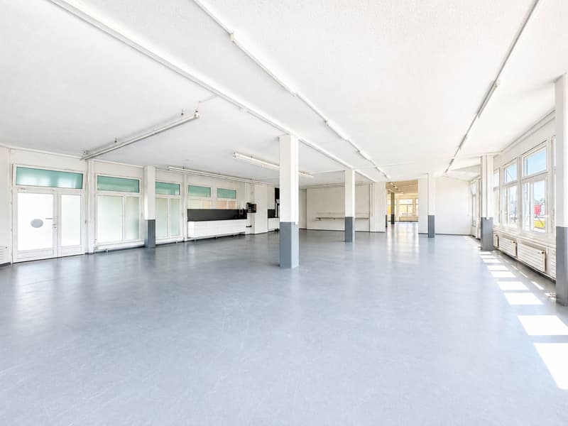 PLAIN-PIED - SURFACE COMMERCIALE & INDUSTRIELLE (2)